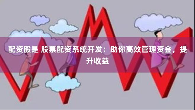 配资股是 股票配资系统开发：助你高效管理资金，提升收益